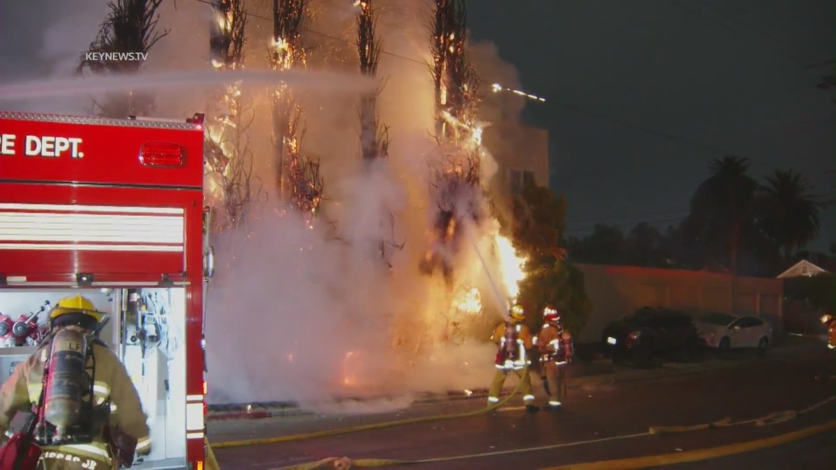 Studio City House Fire Puts an L.A. Neighborhood on Edge